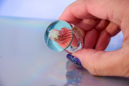 Korallen-Implosion · Glasring