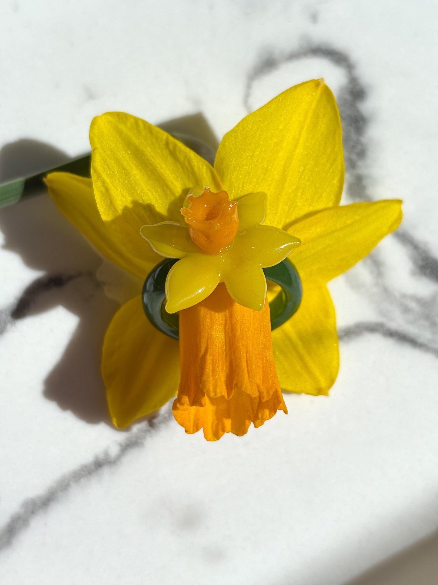 Narzisse · Glasring