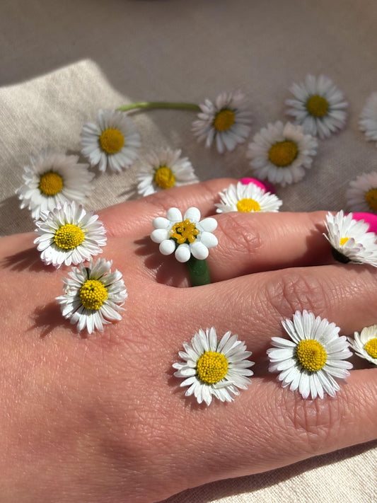 Gänseblümchen · Glasring