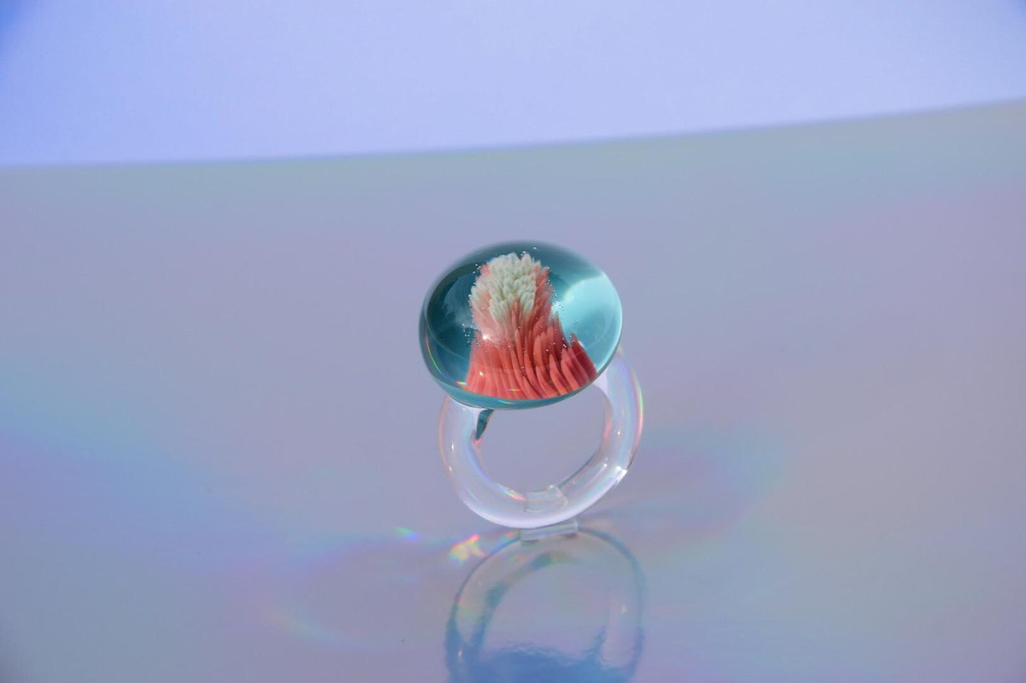 Korallen-Implosion · Glasring