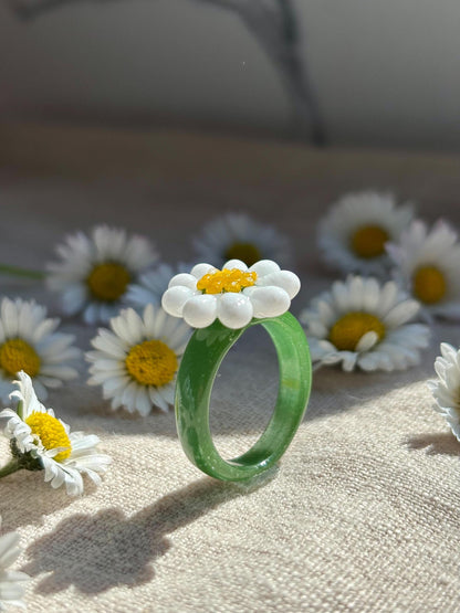 Gänseblümchen · Glasring