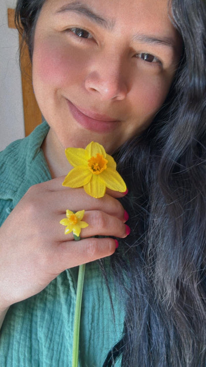 Narzisse · Glasring