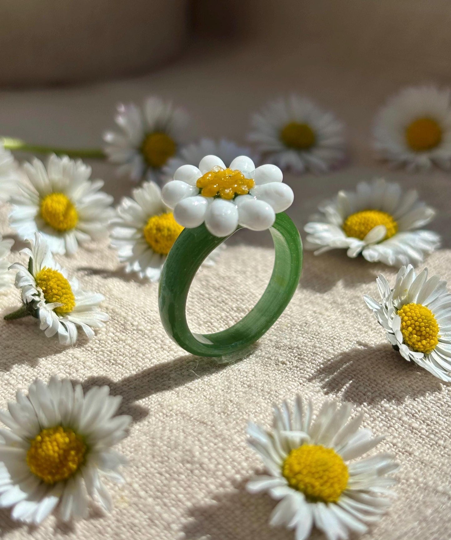 Gänseblümchen · Glasring