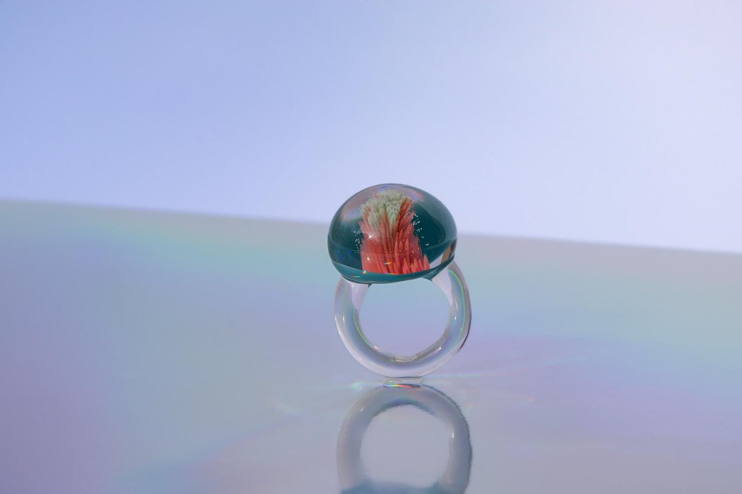 Korallen-Implosion · Glasring