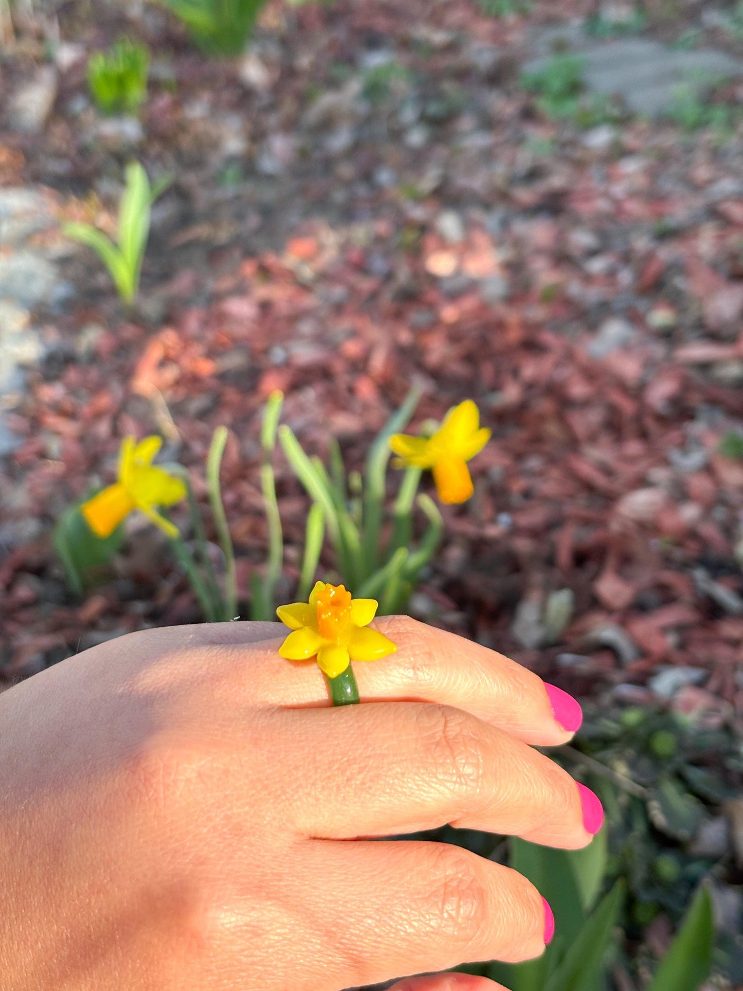 Narzisse · Glasring