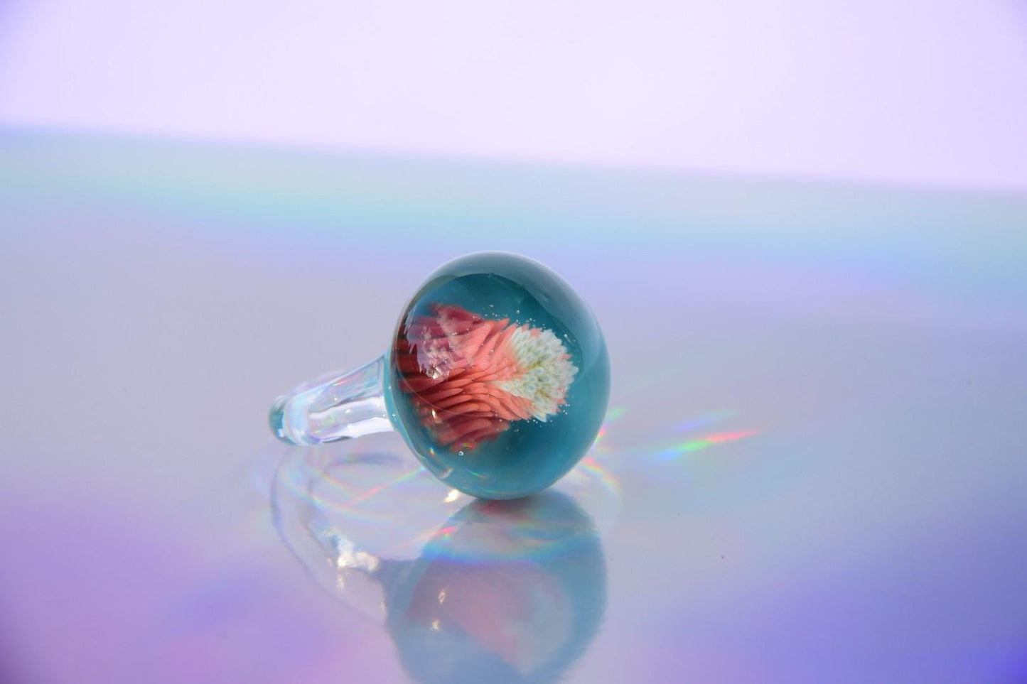 Korallen-Implosion · Glasring