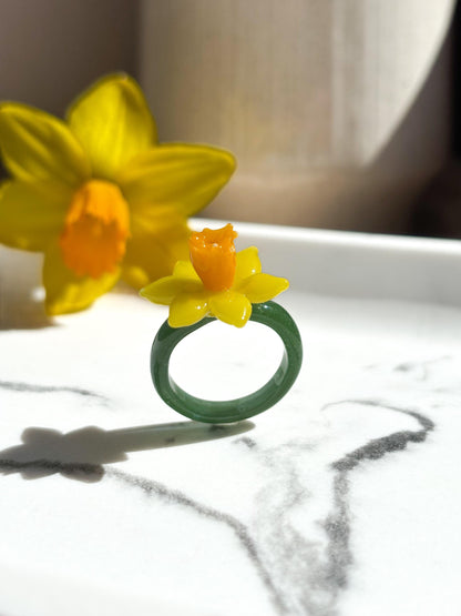 Narzisse · Glasring