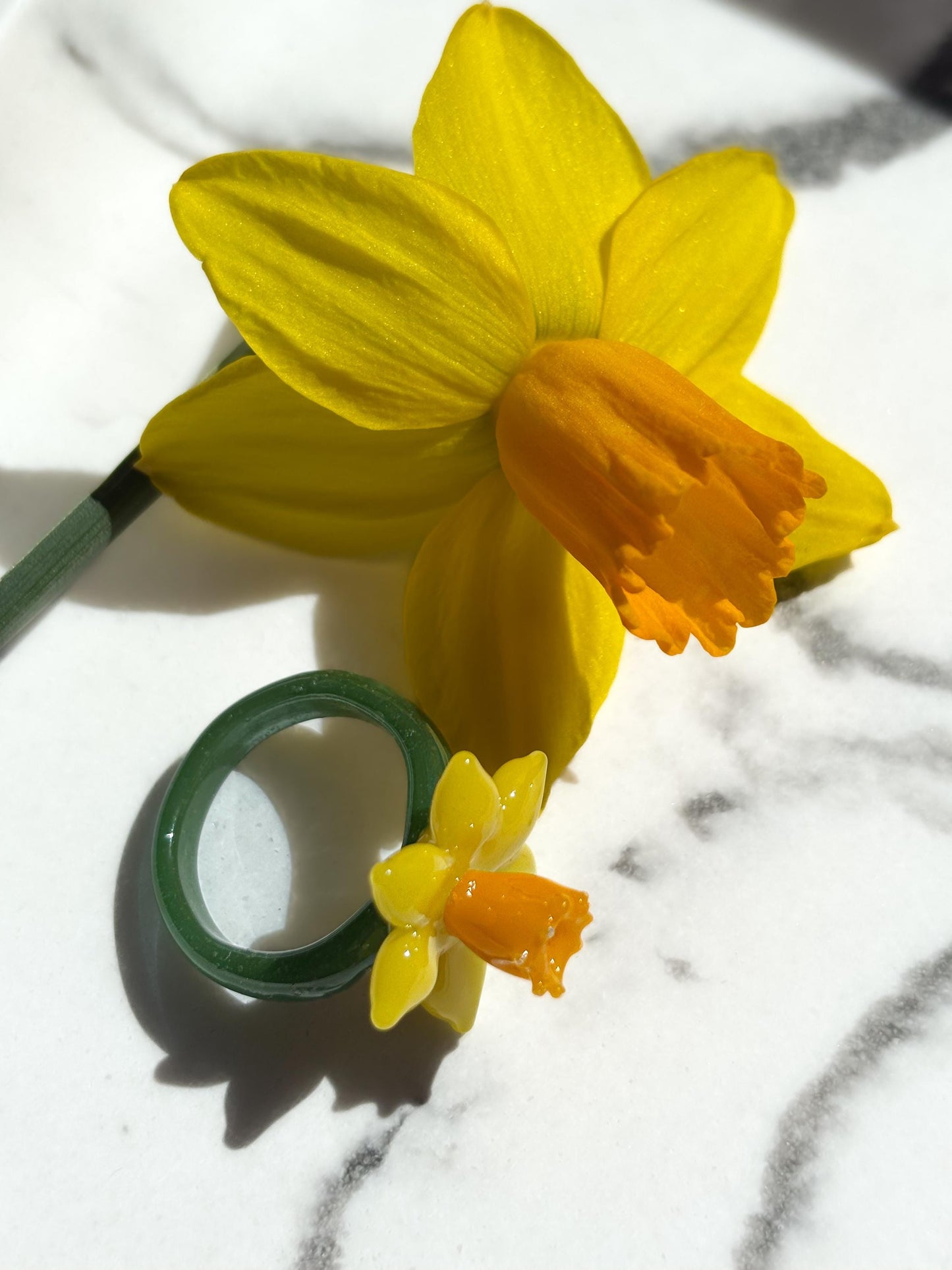 Narzisse · Glasring